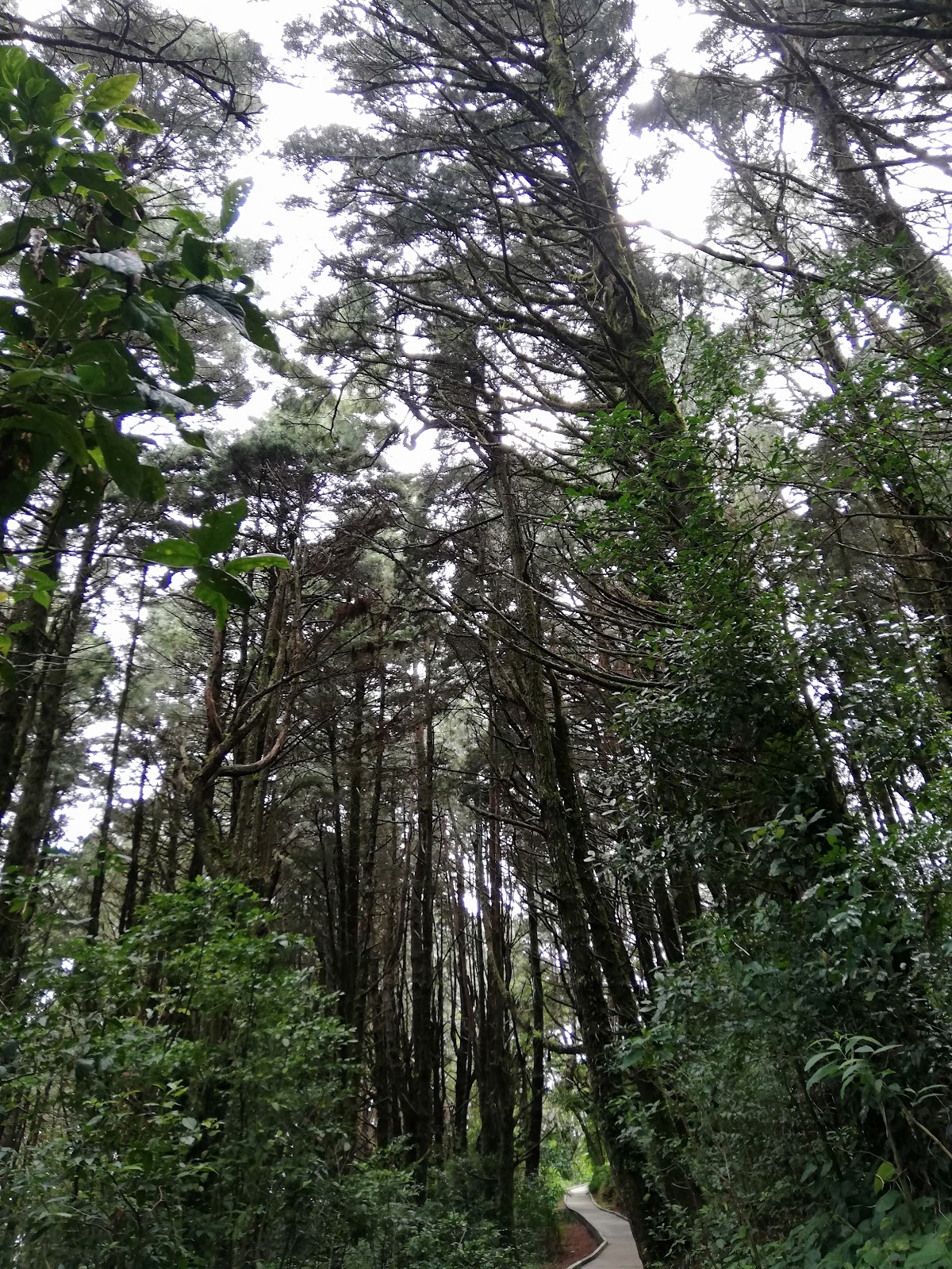 Monte de la Cruz - photo 5