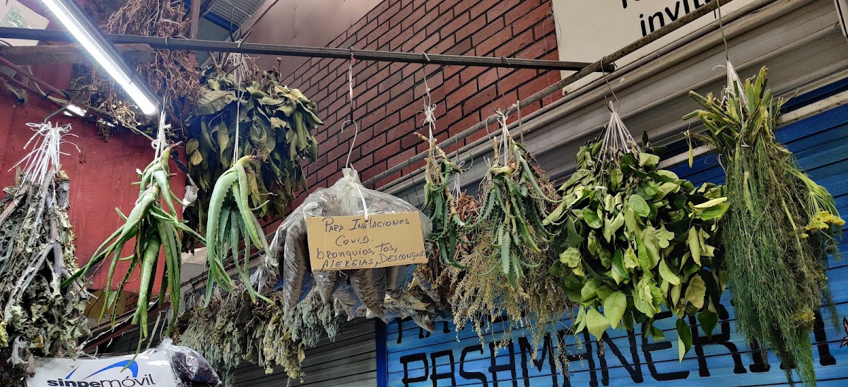 San José Central Market - featured photo