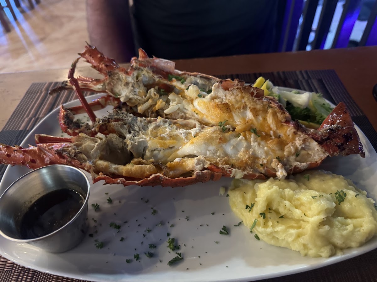 Papagayo Seafood - photo 3