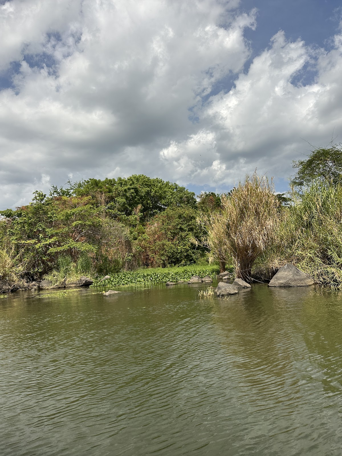 Golden Tours Nicaragua - photo 4
