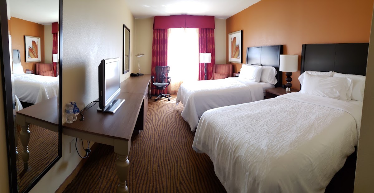 Hilton Garden Inn Tampa Ybor Historic District - photo 2