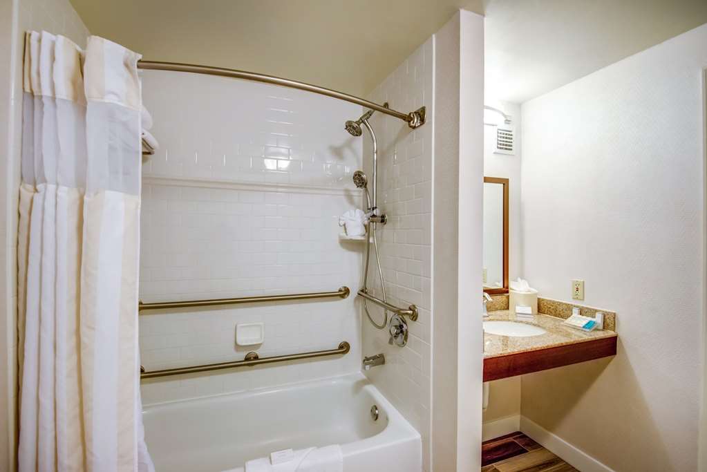 Hilton Garden Inn Tampa Ybor Historic District - photo 4