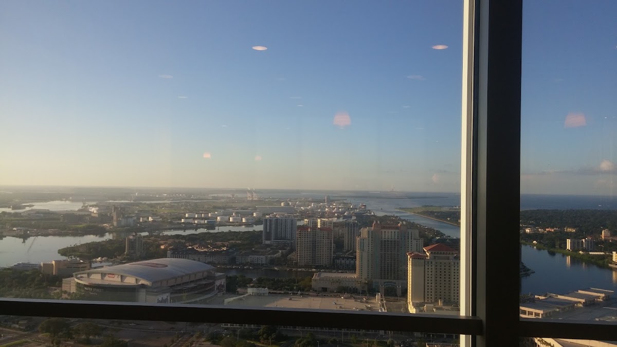 Visit Tampa Bay - photo 2