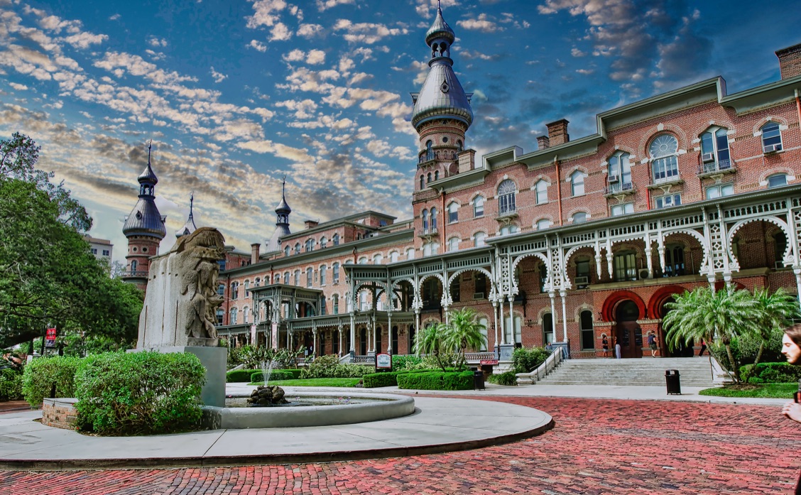 Visit Tampa Bay - photo 4