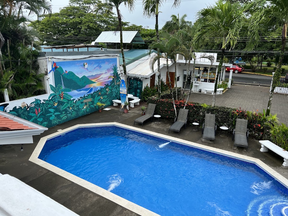 Bird of Paradise Hotel - photo 3
