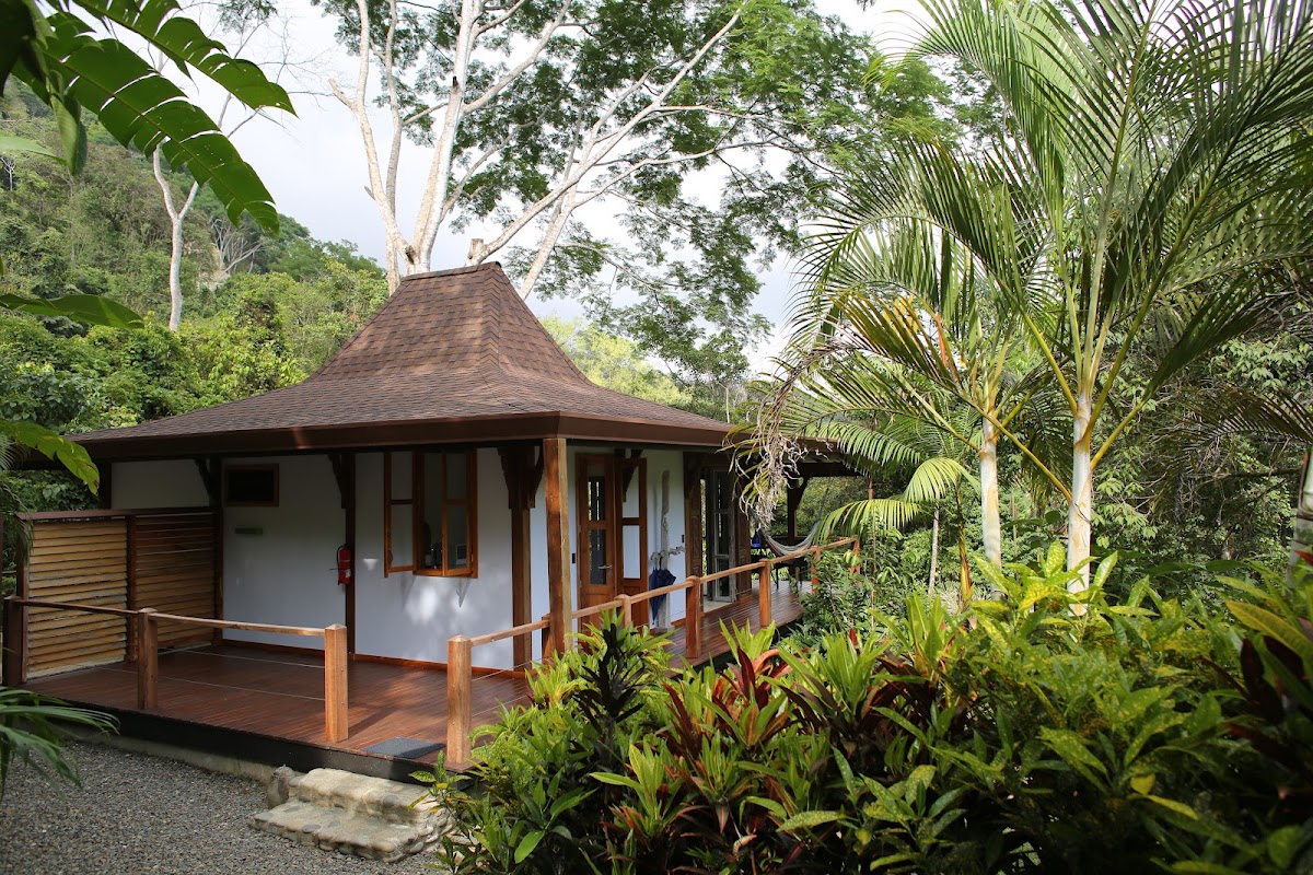 Uvita Bali Bosque - photo 5