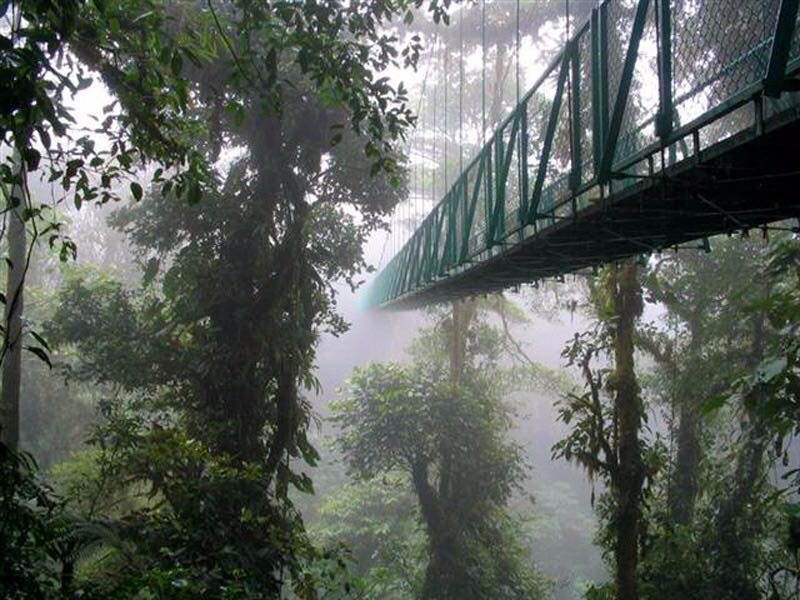 Monteverde Experts - featured photo