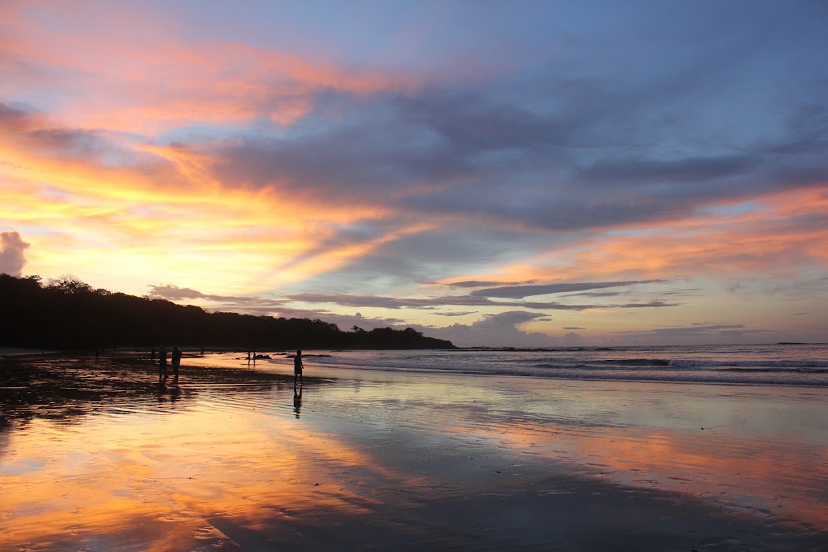Capitán Suizo Beachfront Boutique Hotel - photo 4