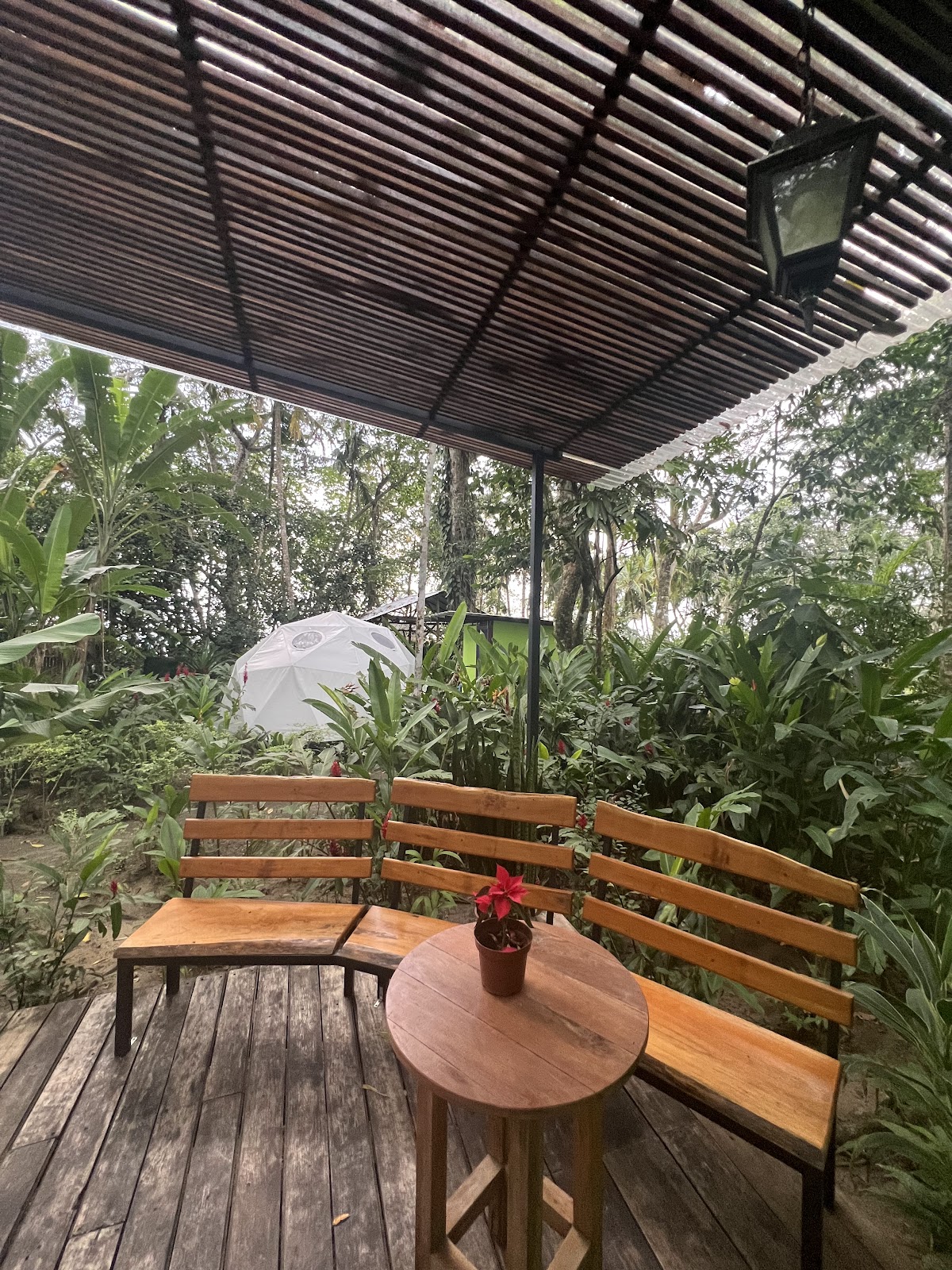 Hotel FAITH GLAMPING DOME COSTA RICA. Unique Glamping Beachfront & Jungle Experience in Geodesic Domes - featured photo