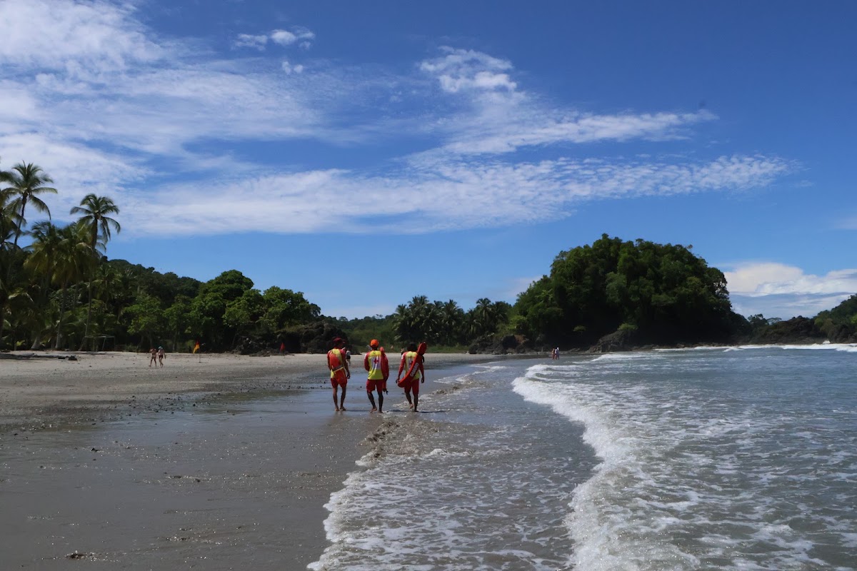Gaia Hotel and Nature Reserve - Manuel Antonio - photo 5