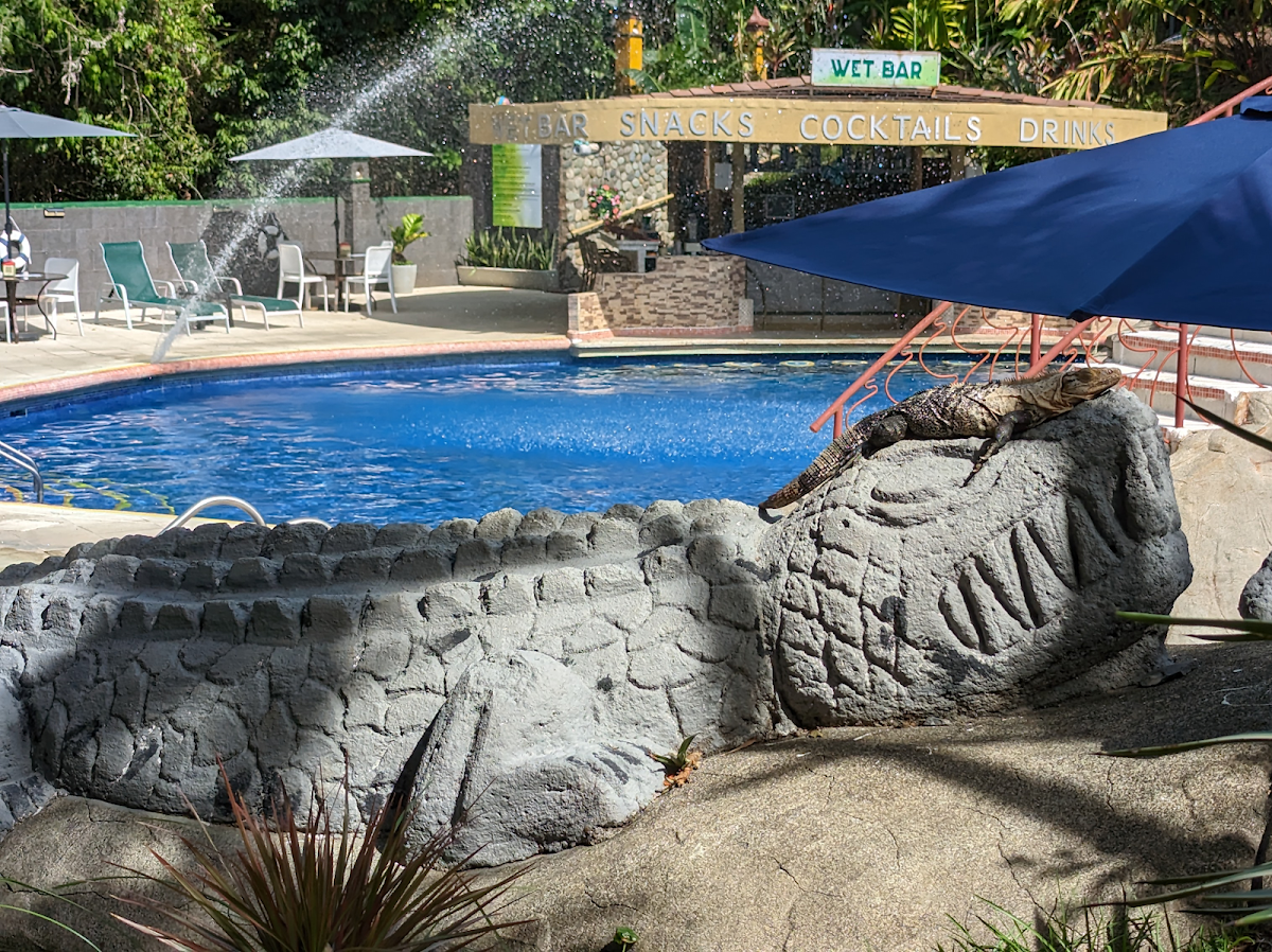Hotel San Bada Resort & Spa - photo 3