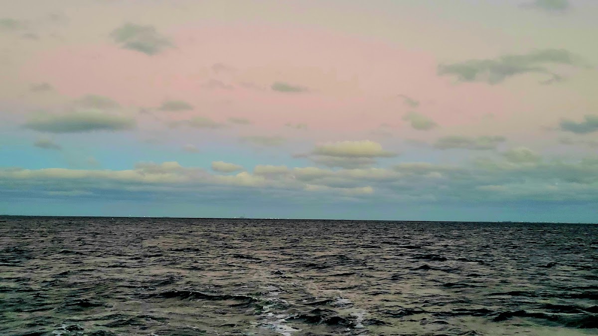 St. Pete Boat Tours - photo 4