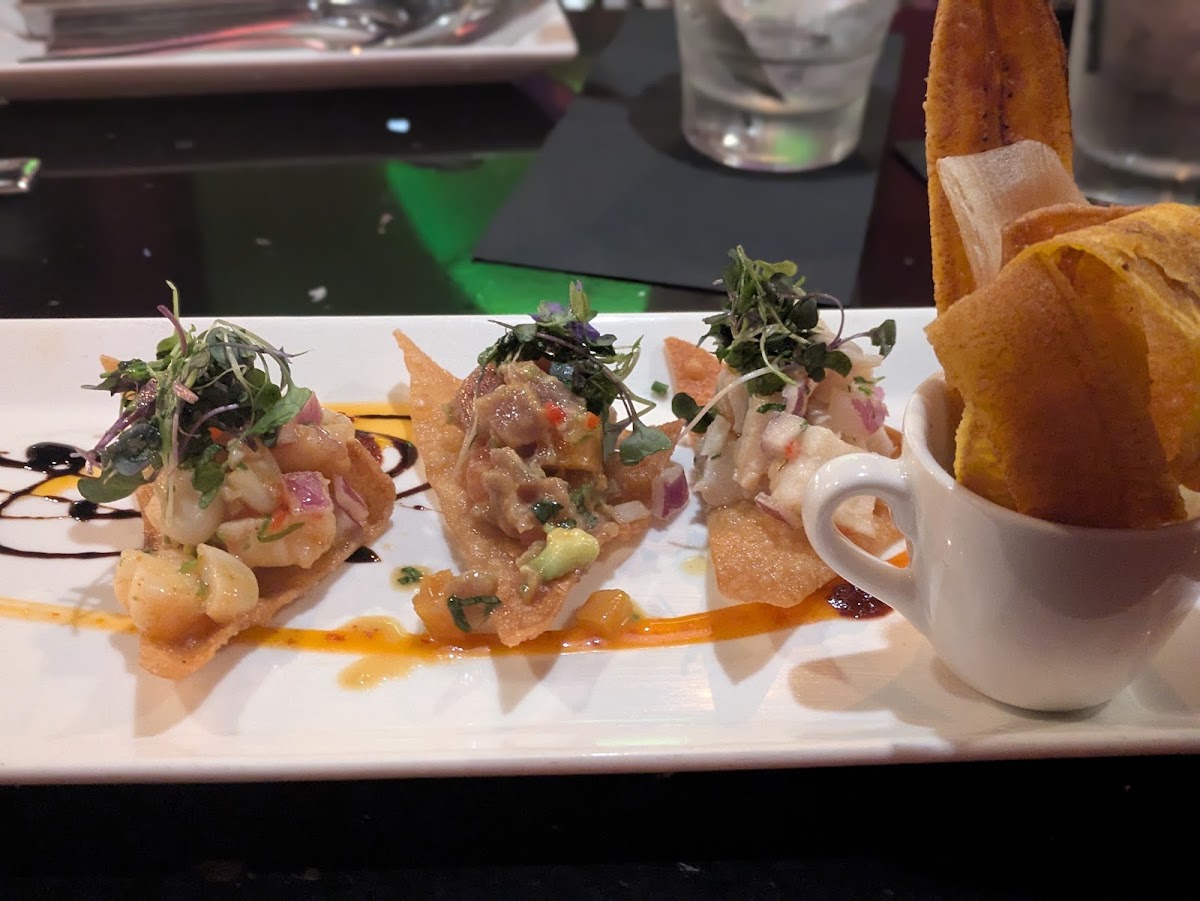 Selva Downtown Sarasota - photo 3