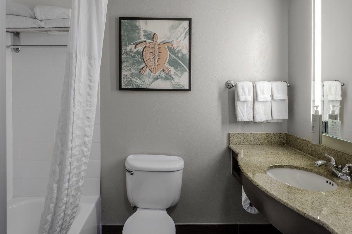Hilton Garden Inn Sarasota-Bradenton Airport - photo 4