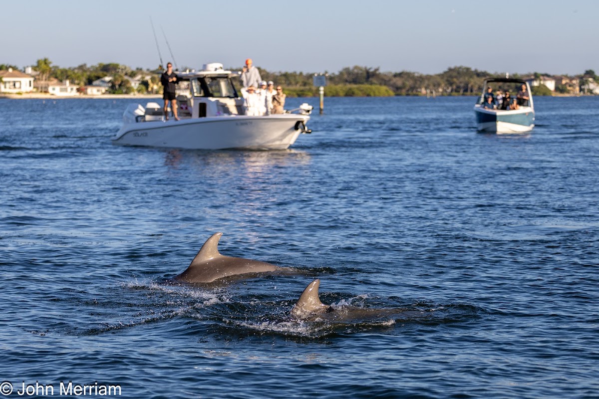 Fun Boat Tours - photo 3