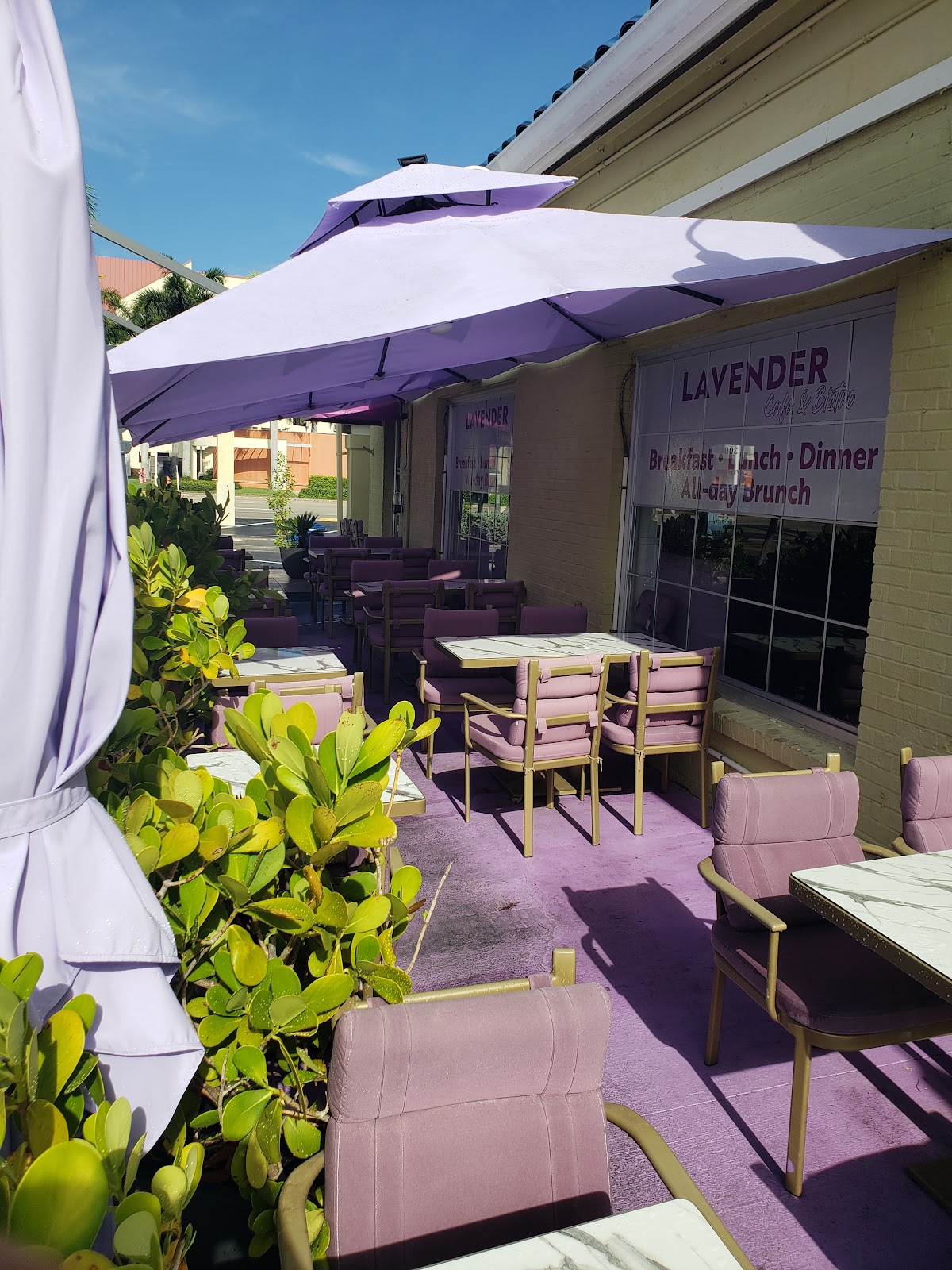 LAVENDER Cafe & Bistro - photo 5