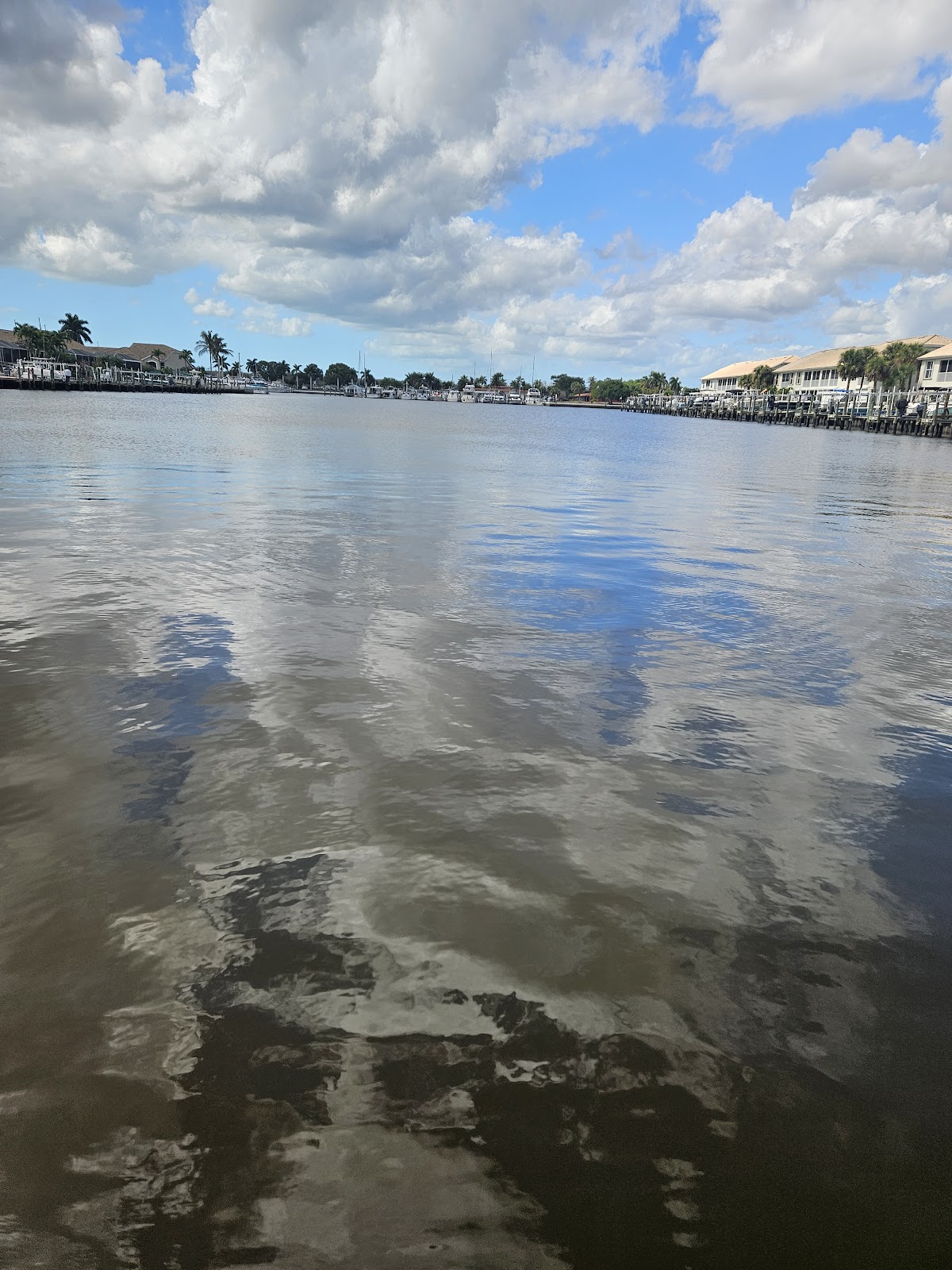 Manatee Sightsee & Wildlife Adventures - photo 4