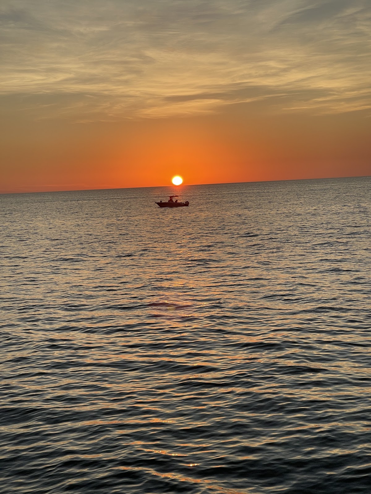 Pure Florida - featured photo