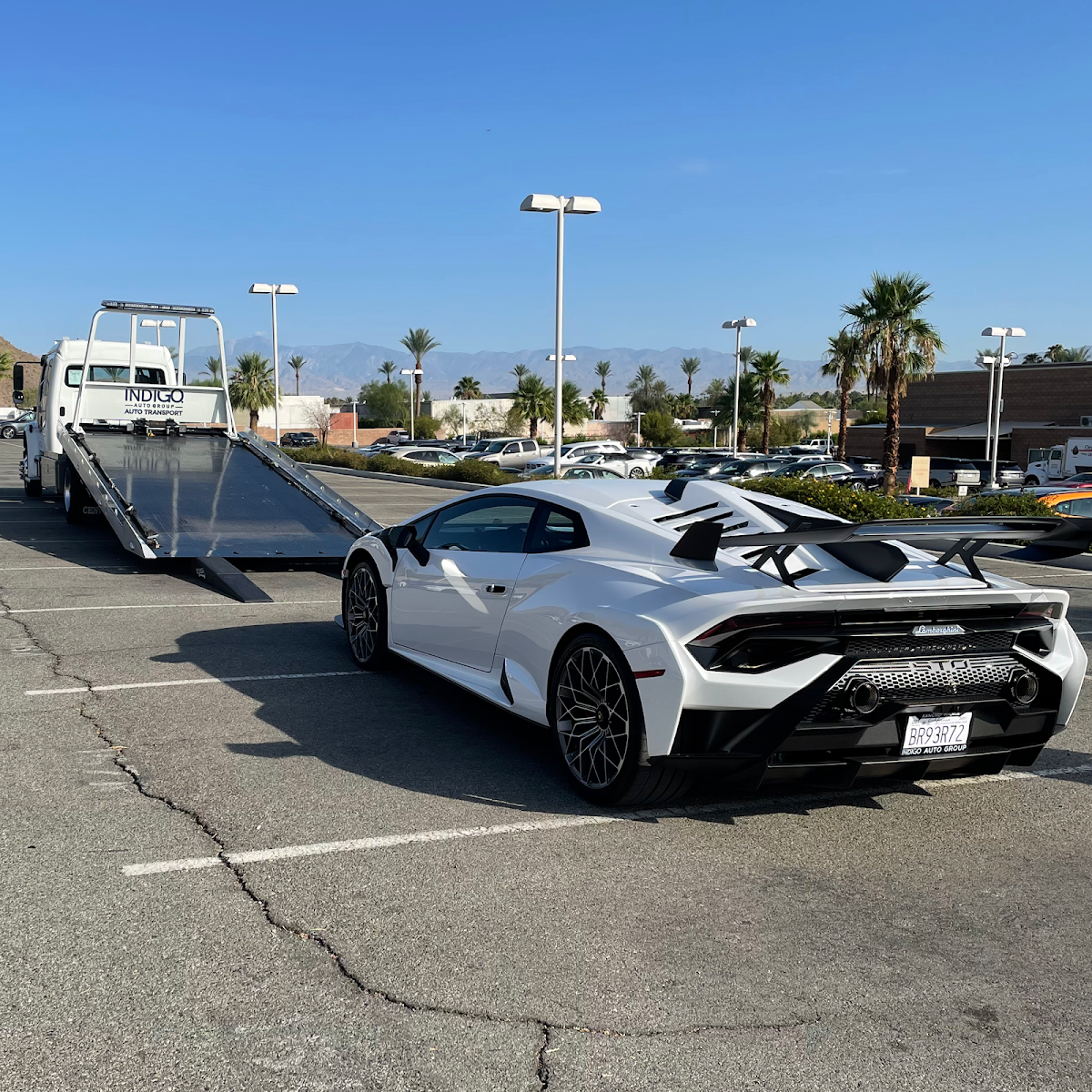 Dealers Choice Auto Transport - photo 3