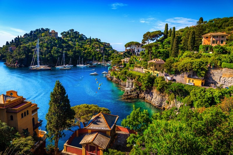 Nicole's Getaways Dream Vacations - photo 5