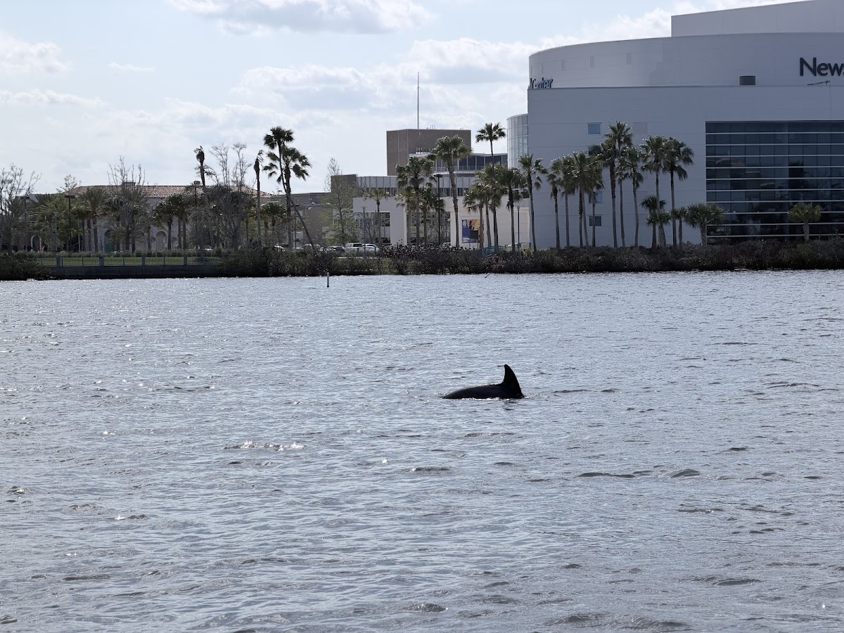 World Famous Boat Tours - photo 4