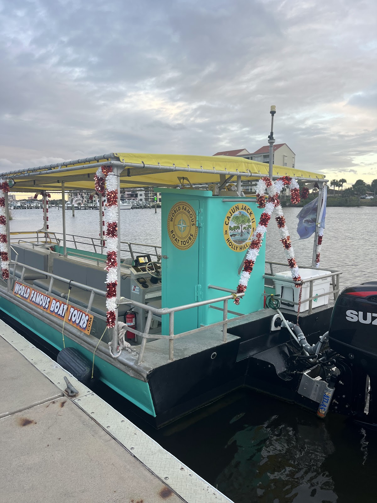 The Manatee - Scenic Boat Tours & Dolphin Cruise - photo 2