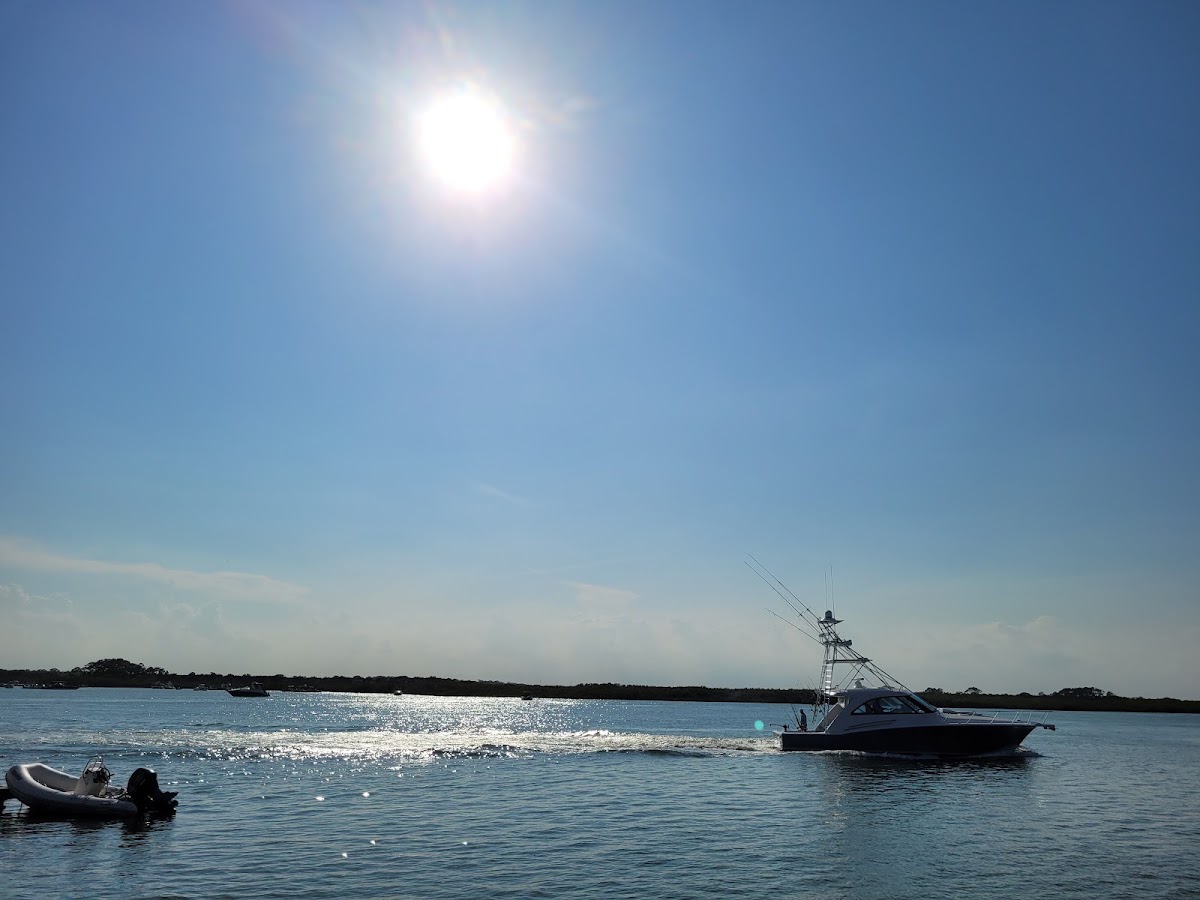 The Manatee - Scenic Boat Tours & Dolphin Cruise - photo 3