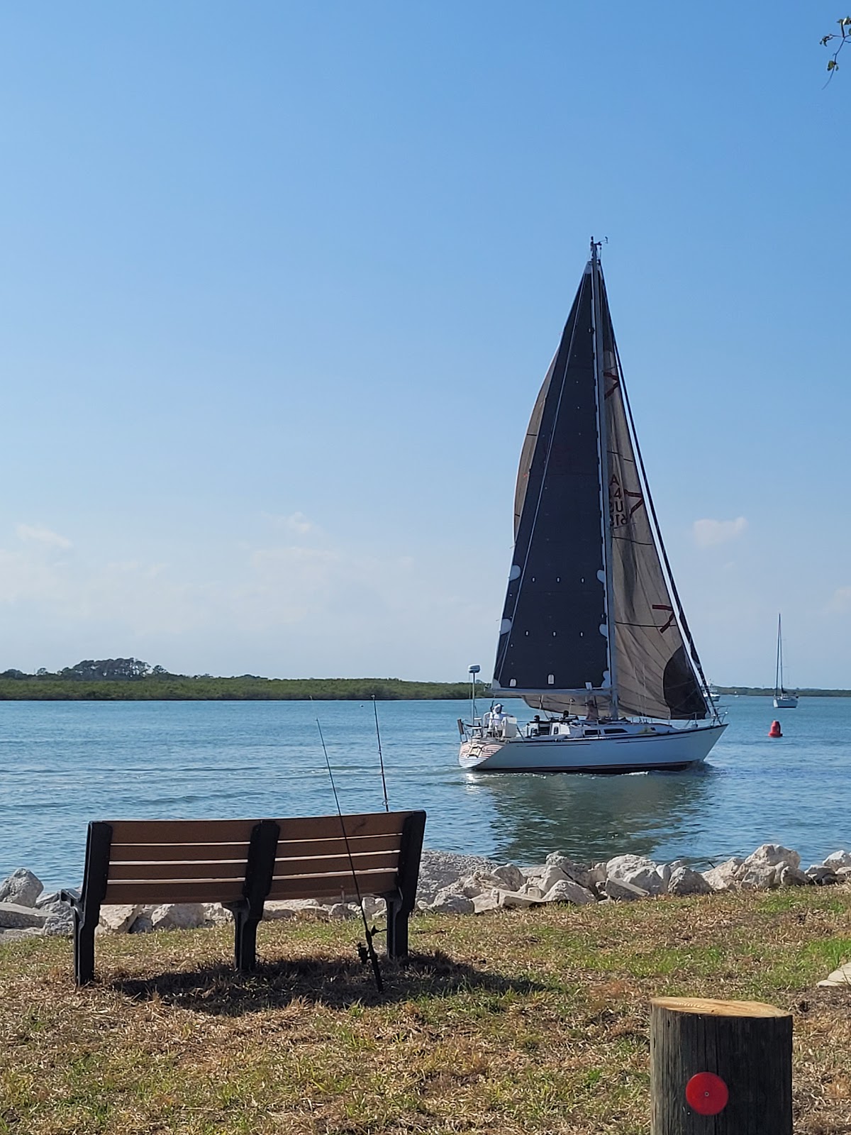 The Manatee - Scenic Boat Tours & Dolphin Cruise - photo 5