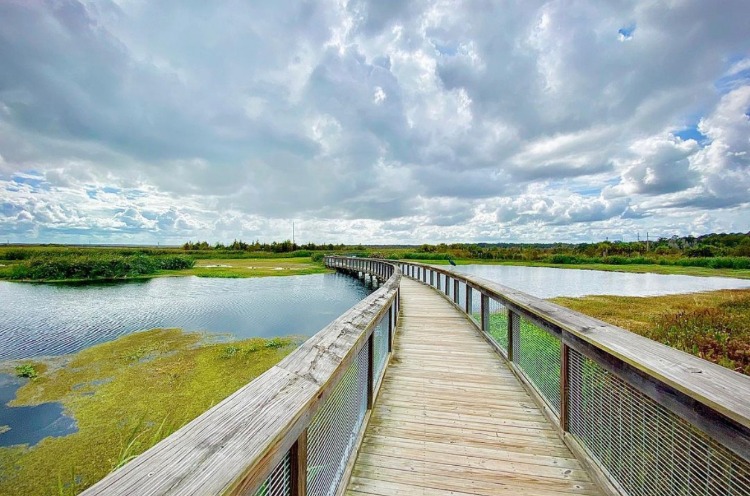 Sweetwater Wetlands Park - photo 3